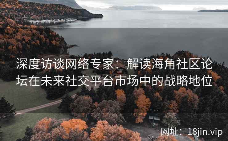 深度访谈网络专家：解读海角社区论坛在未来社交平台市场中的战略地位