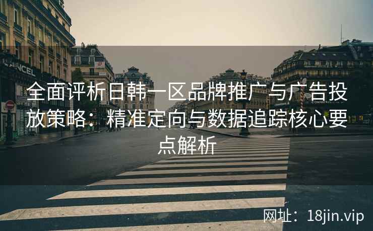 全面评析日韩一区品牌推广与广告投放策略：精准定向与数据追踪核心要点解析